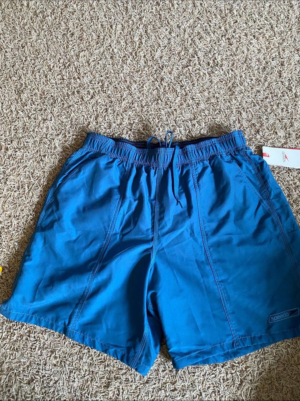 Speedo Men's Royal Blue Swim Trunks